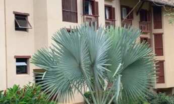 Imagem 5: Luxuoso Duplex decorado no Tabatinga - Caraguatatuba - SP