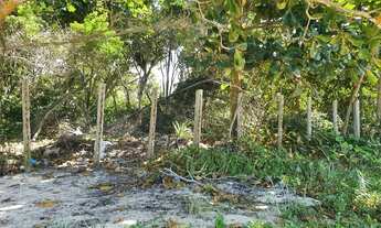 Imagem 7: Terreno de 4.111 m2 com 35 metros de praia, em Arraial D'Ajuda - Porto Seguro - BA
