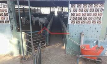 Imagem 4: Tietê - Sítio - Área Rural