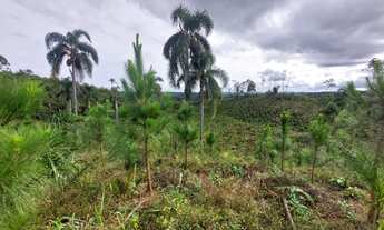 Imagem 4: CHÁCARA com 1 dormitório à venda com 339694m² por R$ 980.000,00 no bairro MACACOS - BOCAIU