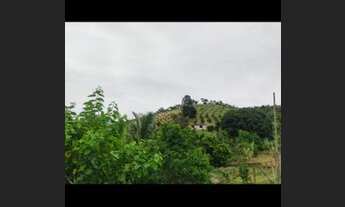 Imagem 5: 29.000M² toda na laranja em CABUÇU (Itaboraí RJ