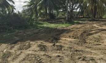 Imagem 7: TERRENOCAMAÇARI