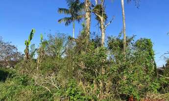 Imagem 2: TERRENO RESIDENCIAL em GARUVA - SC, Centro
