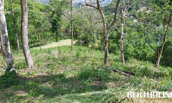 Imagem 4: PENEDO - Terreno Padrão - Penedo