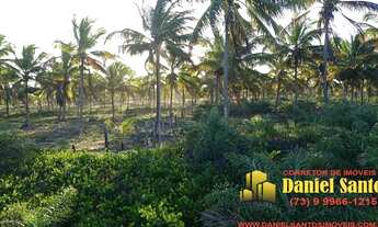 Imagem 6: AREA RURAL em PORTO SEGURO - BA, área pé na areia - Porto Seguro