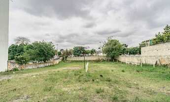 Imagem 6: CURITIBA - Terreno Padrão - GUABIROTUBA