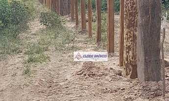 Imagem 4: Fazenda à venda com divisões de 15 pastos, 6660 hec por R$ 32.634.000 - Rural - Poconé/MT