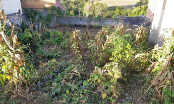 Imagem 6: BORDA DA MATA - Terreno Padrão - Santo Antonio