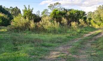 Imagem 3: Chácara em Triunfo