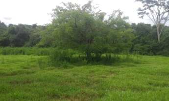 Imagem 3: Ótima chácara em Guapó!!