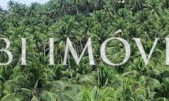 Imagem: Área De 16500M2 Ou Lotes De 2000M2