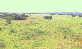 Imagem 2: Fazenda para Venda em Mara Rosa, 000