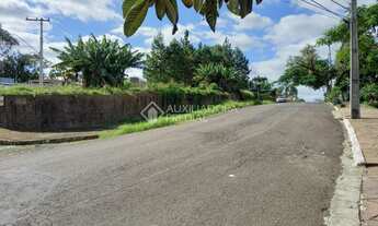 Imagem 3: NOVO HAMBURGO - Terreno Padrão - Vila Nova