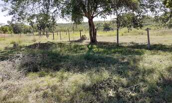 Imagem 3: Fazenda/Sítio/Chácara para venda com 4700000 metros quadrados com 3 quartos