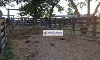 Imagem 3: Fazenda à venda com divisões de 15 pastos, 6660 hec por R$ 32.634.000 - Rural - Poconé/MT