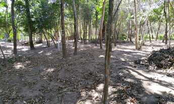 Imagem 7: Fazenda/Sítio/Chácara para venda tem 2500 metros quadrados com 1 quarto