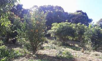 Imagem 3: COD:637 Chácara em Cachoeira de Minas