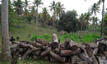 Imagem 7: Sítio pronto Itacimirim Barra do Pojuca