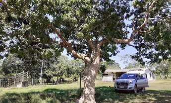 Imagem: Fazenda/Sítio/Chácara para venda com 4700000