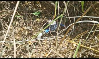 Imagem 6: Terreno com 3.000 m na região de Baldim. Vendo ou troco por caminhonete