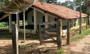 Imagem: FAZENDA CAMPINAÇU - CAMPO LIMPO
