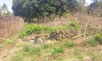 Imagem 7: Vendo lote Bica da pedra