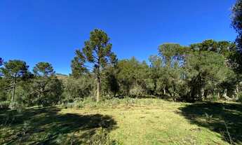 Imagem 4: Urubici/Área rural de 6.9 Hectares ás margens da SC-110, sentido São Joaquim