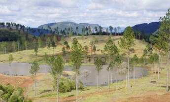 Imagem 7: Terreno na RS-235 em Canela!