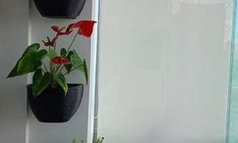 Imagem 2: APARTAMENTO COM FINO ACABAMENTO NO QUADRA VILA MASCOTE !