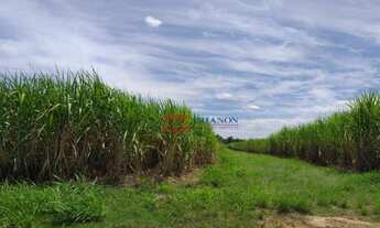 Imagem 2: Sitio no Bairro Chicó