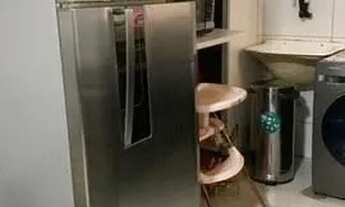 Imagem 2: Apartamento de 02 Quartos, com aproximadamente 55 m2. Reformado