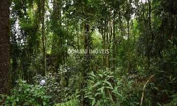 Imagem 7: Terreno à Venda com Preço Baixo na Região do Vale Encantado - Campos do Jordão/SP