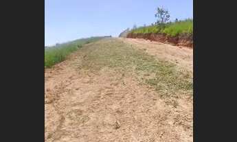 Imagem 4: Invista em tetrenos