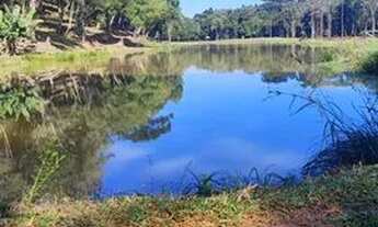 Imagem 6: Chácara em quitandinha 3,5 alqueire