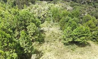 Imagem 2: Ampla Área de Terreno à Venda na Região do Alto da Boa Vista - Campos do Jordão/SP