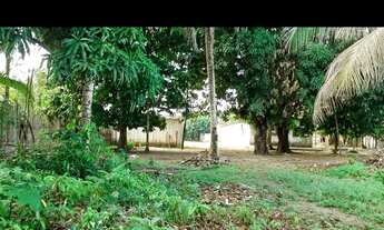 Imagem 4: Vendo casa grande com terreno espetacular!