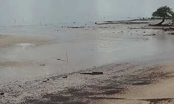 Imagem 3: Vendo ,lotes nesse paraíso 200 metros da praia de guarapiranguinha, parcelamos!