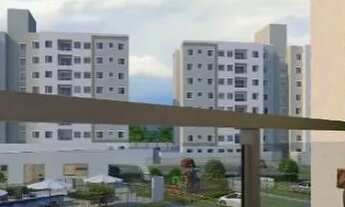 Imagem 7: PARQUE MOSAICO / VISTA DAS PAINEIRAS