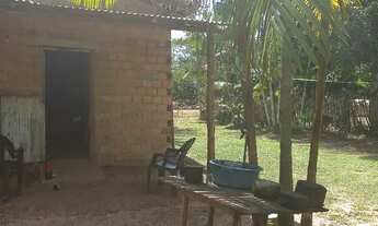 Imagem 4: Vendo sitio em benevides 45 mil