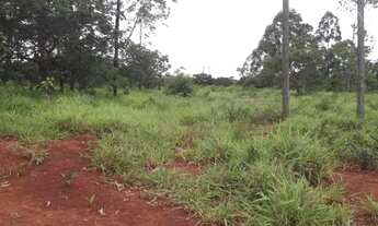 Imagem 6: Linda fazendinha de 135.000 m², Jaboticatubas (Temos várias opções)