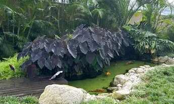 Imagem 5: Venda Apartamento com 2 dormitórios