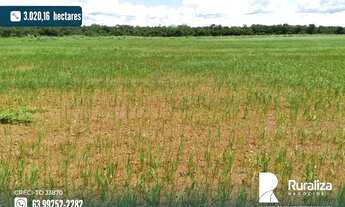 Imagem: Fazenda em exploração agrícola na região