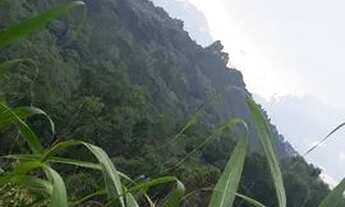 Imagem 2: Vendo Chácara em Campo Largo - Paraná