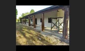 Imagem 6: Sítio 52 Hectares todo Formado