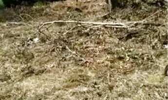 Imagem 3: Granja Terreno / lote com venda por R$14.900