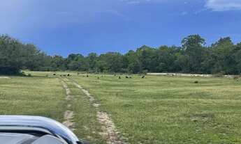 Imagem 6: Fazenda no pantanal MT