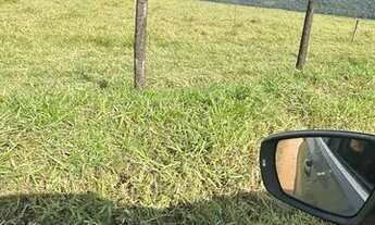 Imagem 3: Fazenda na região de Bom Jardim RJ