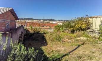 Imagem 2: Terreno Comercial/Residencial para Venda no Jardim Dos Eucaliptos em Colombo, 200 m²