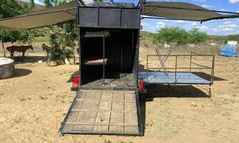 Imagem 5: Reboque de vaquejada Completo, vendo e troco