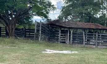 Imagem 3: Fazenda 27 alqueire